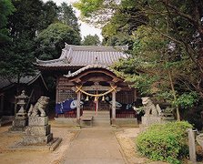 玉岛川鲶鱼祭