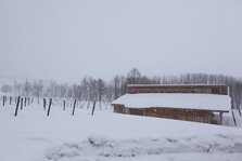 IMG_1889.JPG