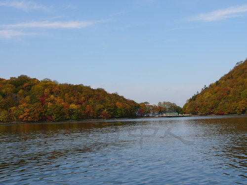 P1000816.JPG