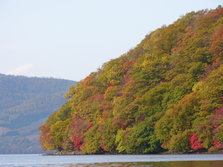 P1000818.JPG