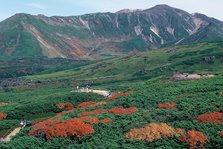 旭岳紅葉2