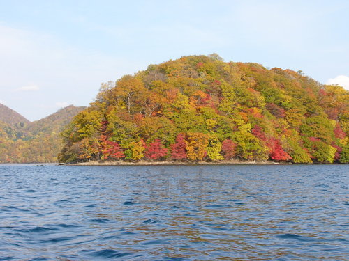 P1000821.JPG