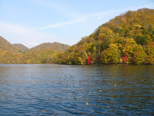 P1000823.JPG