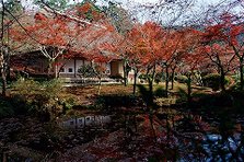 红叶九年庵-2