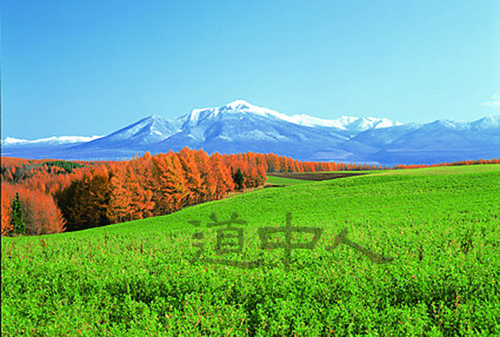 富良野の秋