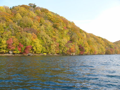 P1000827.JPG