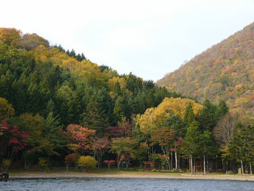 P1000830.JPG