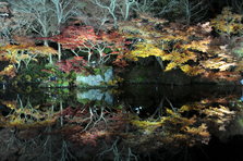 DSC_5172.JPG