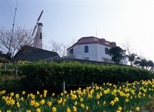 風の見える丘公園（唐津市呼子町）