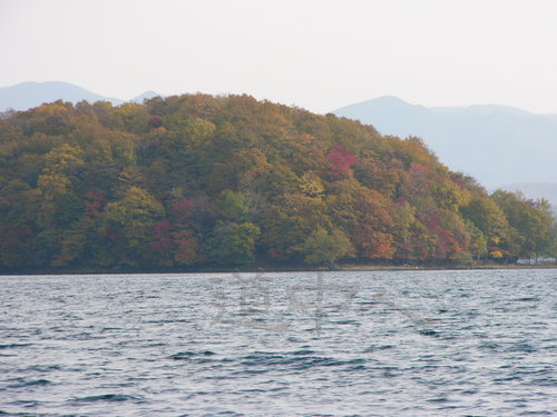 P1000831.JPG