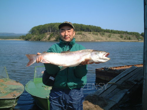 釣り