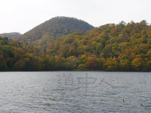 P1000833.JPG