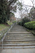 IMG_4181.JPG