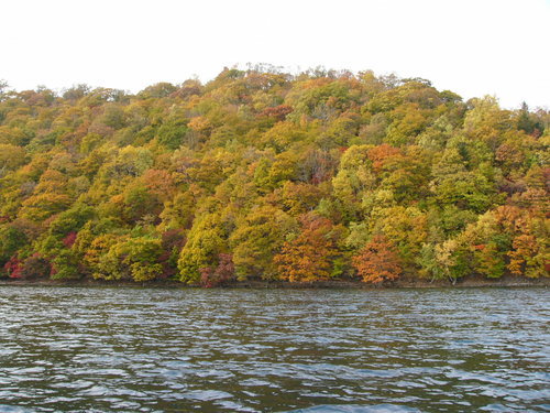 P1000835.JPG