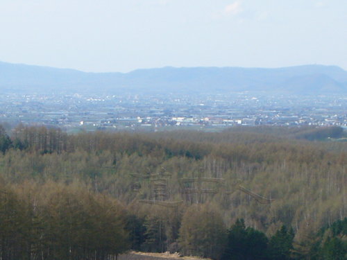 P1040506