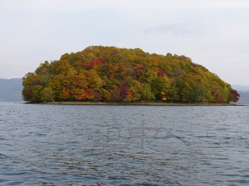 P1000840.JPG