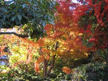 仁比山神社