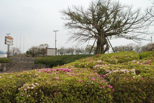 DSC_9767.JPG
