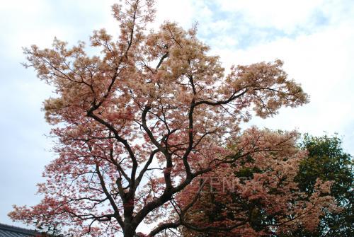 DSC_9789.JPG