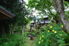 DSC_9792.JPG