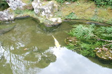 DSC_9795.JPG