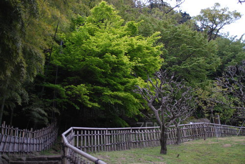 DSC_9875.JPG
