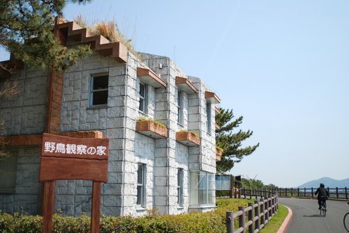 DSC_9638.JPG