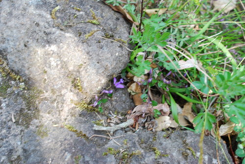 DSC_9734.JPG