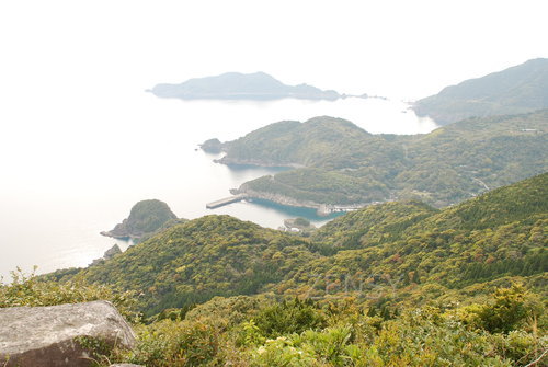 DSC_9742.JPG