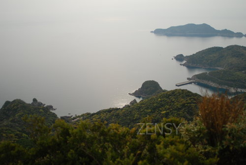 DSC_9747.JPG
