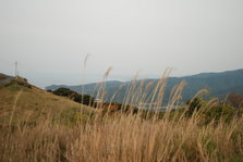 DSC_9749.JPG
