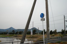 DSC_9750.JPG