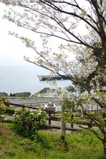DSC_9701.JPG