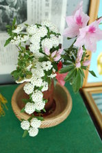 DSC_9706.JPG