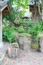 DSC_9791.JPG