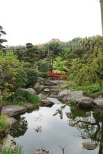 DSC_9811.JPG
