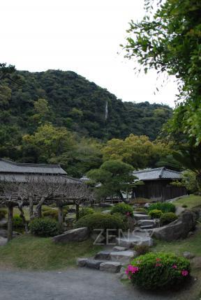 DSC_9867.JPG