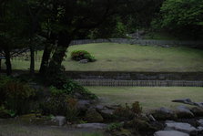 DSC_9869.JPG