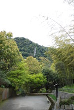 DSC_9873.JPG