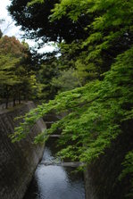 DSC_9880.JPG