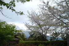 DSC_9882.JPG