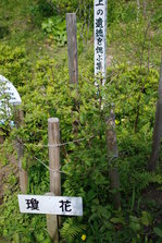 DSC_9695.JPG