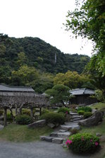 DSC_9867.JPG