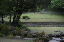 DSC_9869.JPG