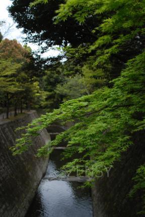 DSC_9880.JPG