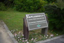 P1250311.JPG