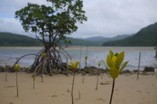P1250341.JPG