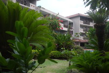 P1250342.JPG