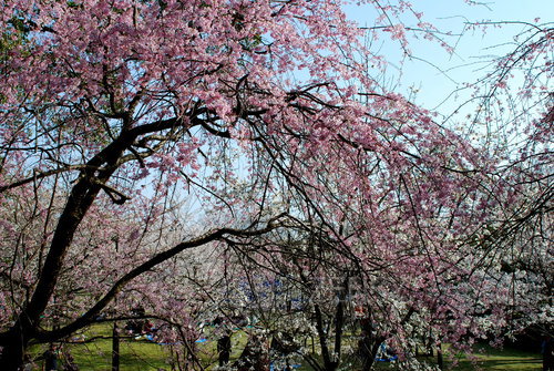 DSC_8757.JPG