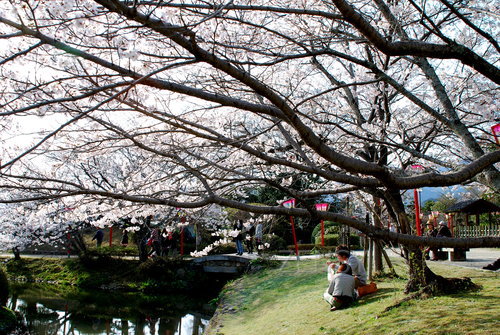 DSC_8762.JPG